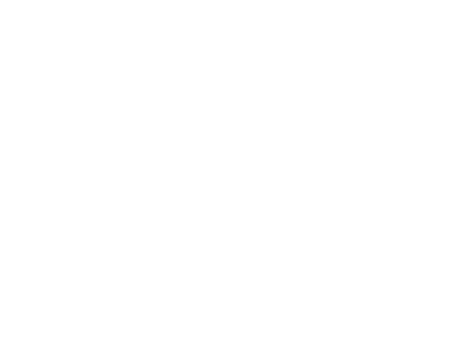 Nobody Jiu Jitsu Logo